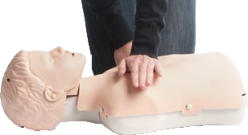 Picture of a child manikin with a person doing CPR on the chest